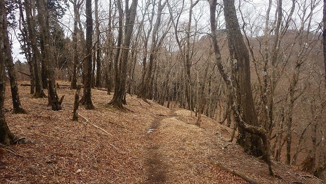 IGA_4437.jpg