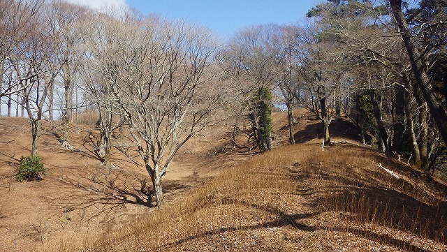 IGA_4478.jpg