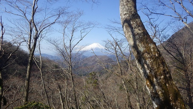 IGA_4558.jpg