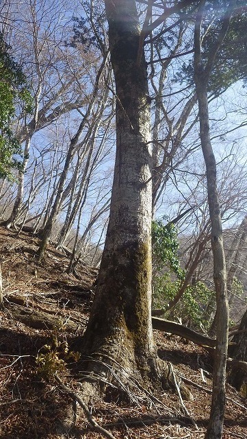 IGA_4560.jpg