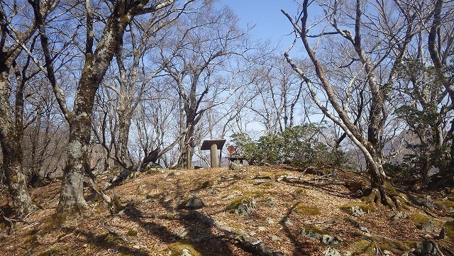 IGA_4578.jpg