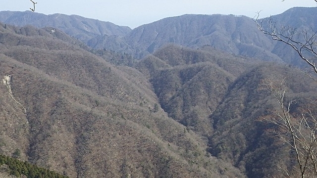 IGA_4592-2.jpg