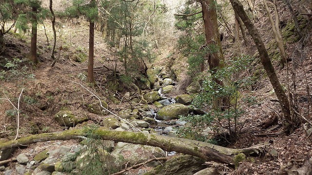 IGA_4606.jpg