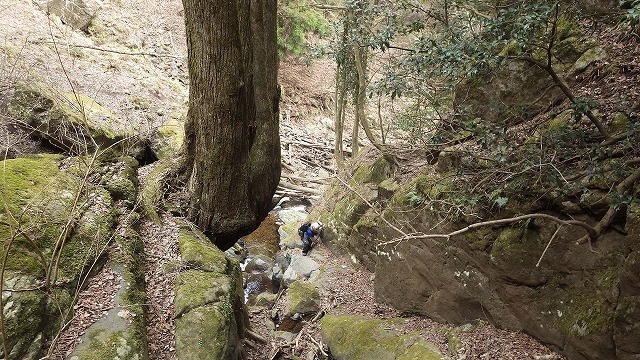 IGA_4609.jpg