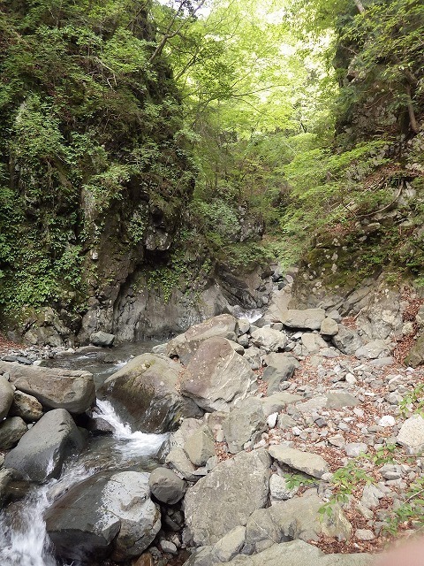 IGA_4768.jpg