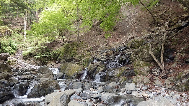 IGA_4771.jpg