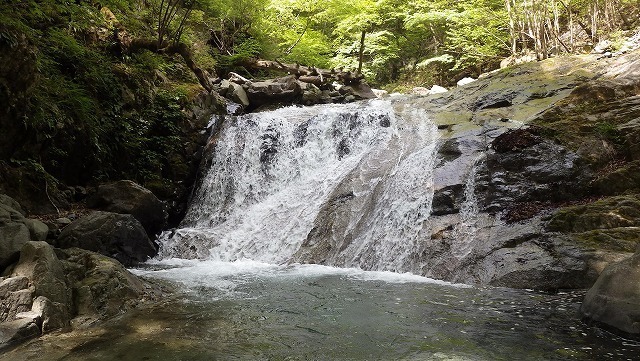 IGA_4797.jpg