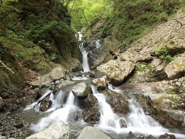 IGA_4800.jpg