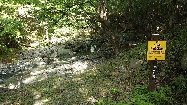 IGA_4838.jpg