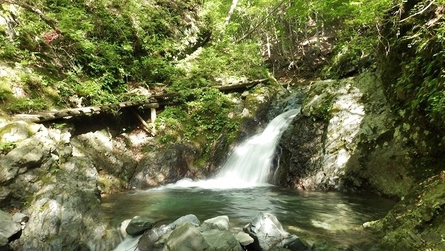 IGA_4850.jpg