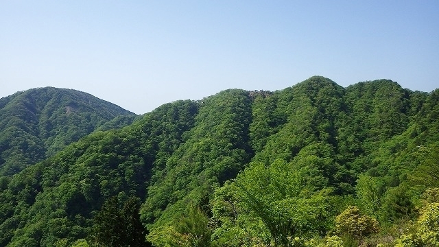 IGA_4859.jpg