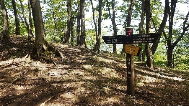 IGA_4860.jpg