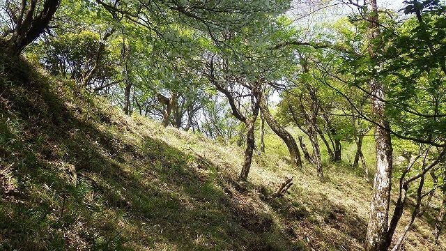 IGA_4865.jpg