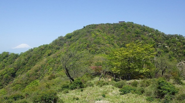 IGA_4868.jpg
