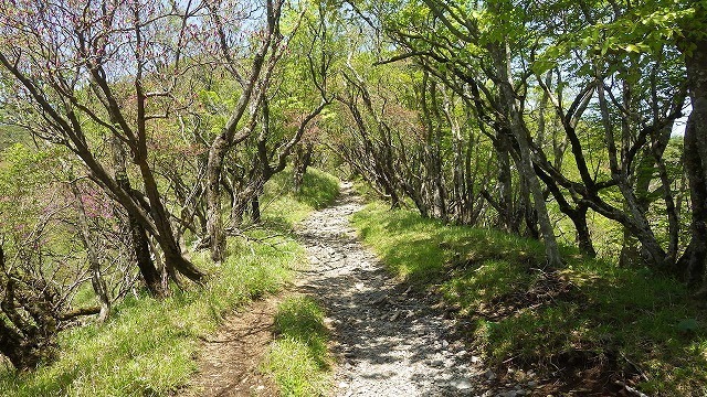 IGA_4871.jpg
