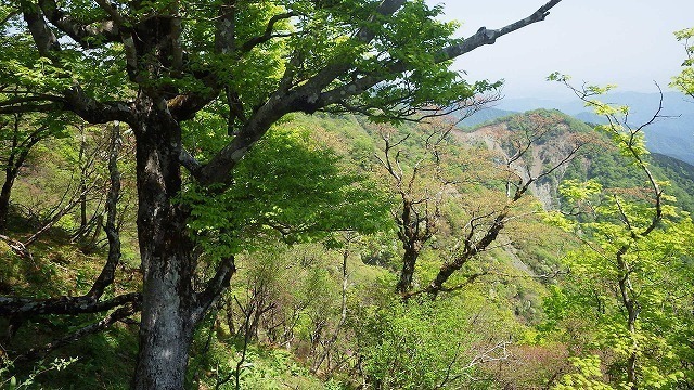IGA_4873.jpg