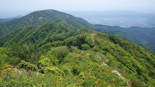 IGA_4879.jpg
