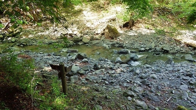 IGA_4884.jpg