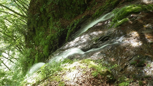 IGA_4920.jpg