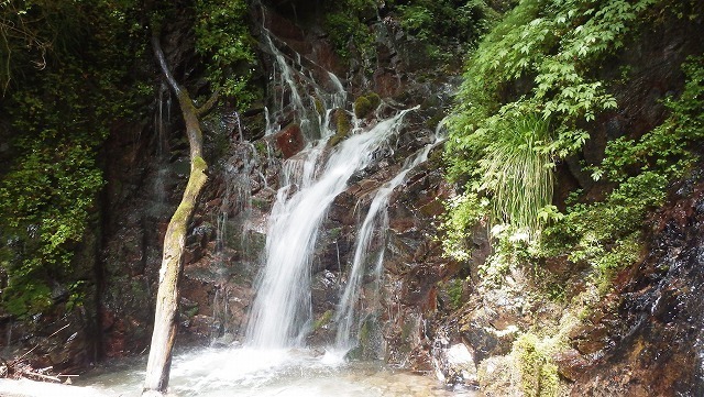 IGA_4949.jpg