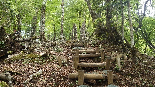 IGA_4956.jpg
