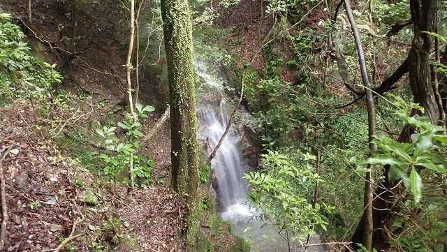 IGA_5209.jpg