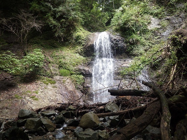 IGA_5258.jpg