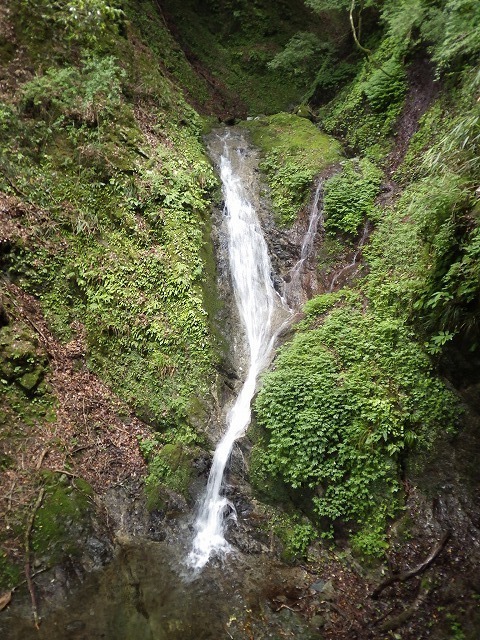 IGA_5262.jpg