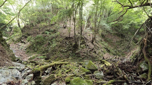 IGA_5281.jpg
