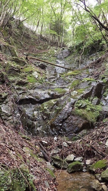 IGA_5288.jpg