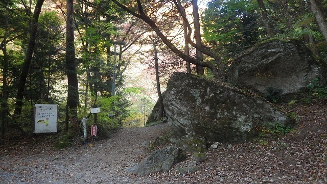 IGIG0606.jpg