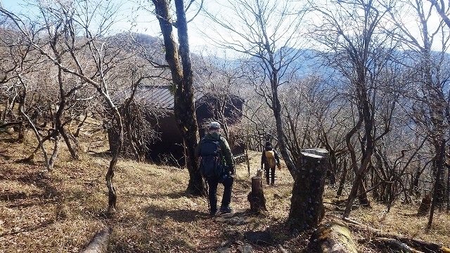 IGIG0848.jpg