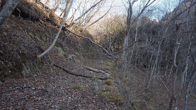 IGIG1202.jpg