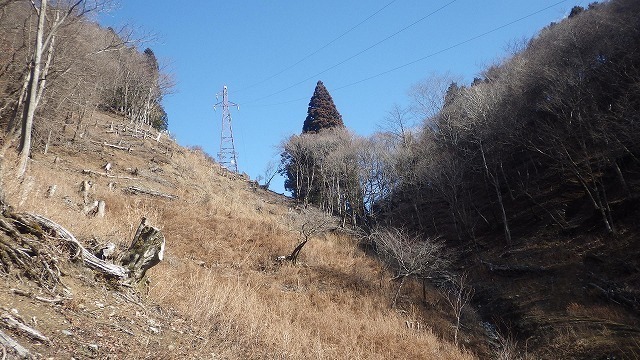 IGIG1215.jpg