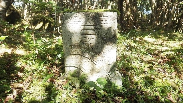 IGIG2945.jpg