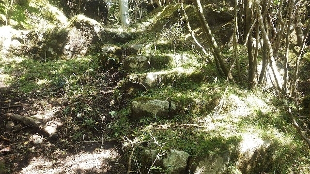 IGIG2952.jpg