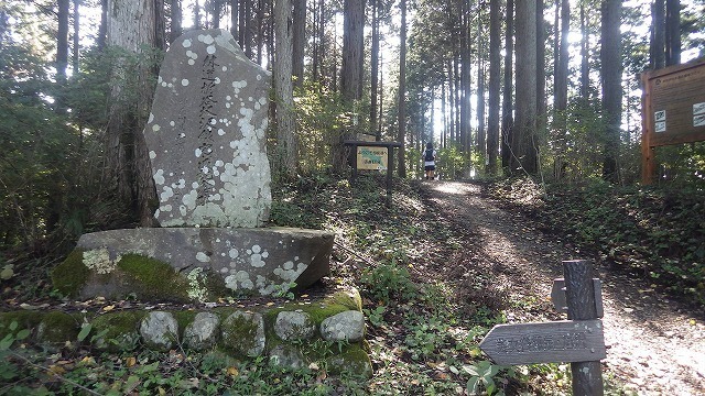 IGIG2994.jpg