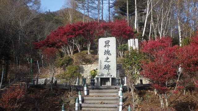 IGIG3094.jpg