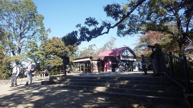 IGIG3214.jpg