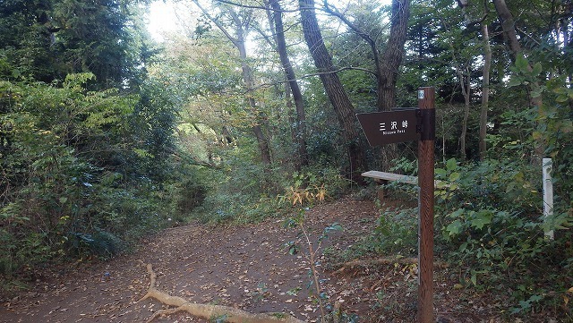 IGIG3238.jpg