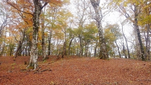 IGIG3342.jpg