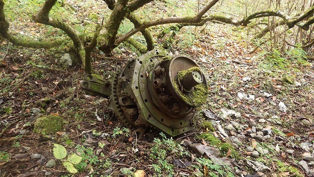 IGIG3373.jpg