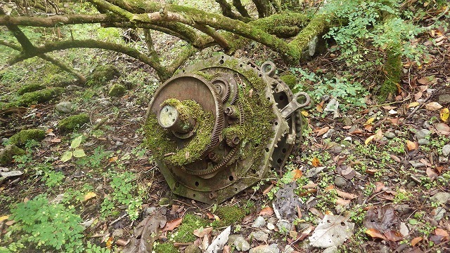 IGIG3375.jpg