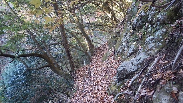 IGIG3473.jpg