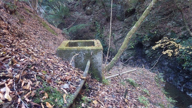 IGIG3484.jpg
