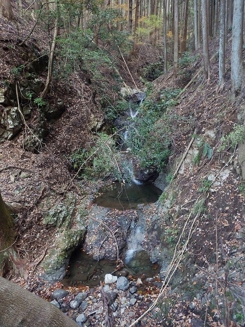 IGIG3677.jpg