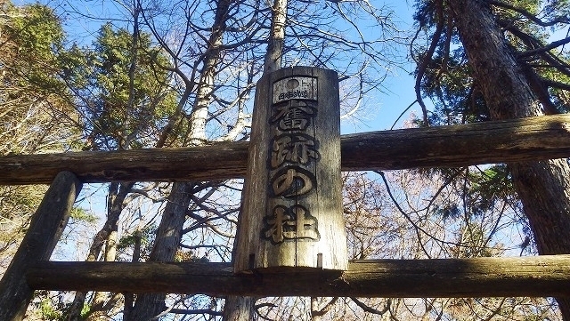 IGIG3766.jpg