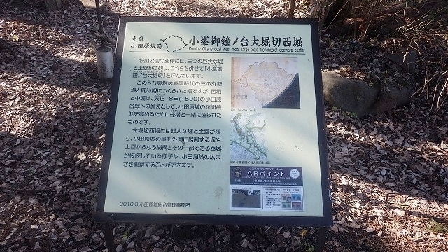IGIG4141.jpg
