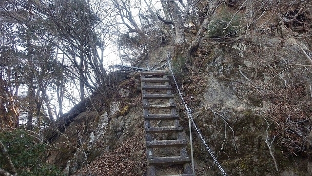 IGIG4236.jpg
