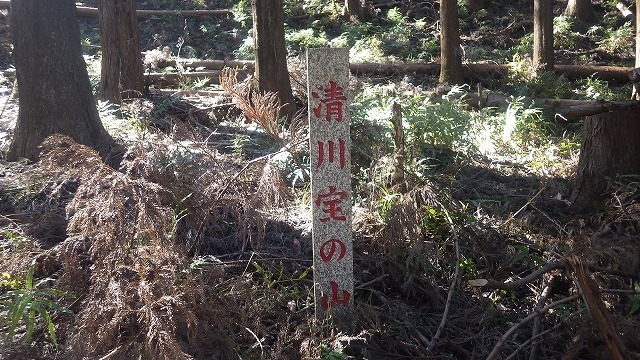 IGIG4258.jpg